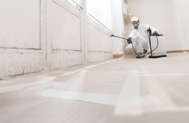 24/7 Emergency Black Mold Remediation experts in Brutus, MI